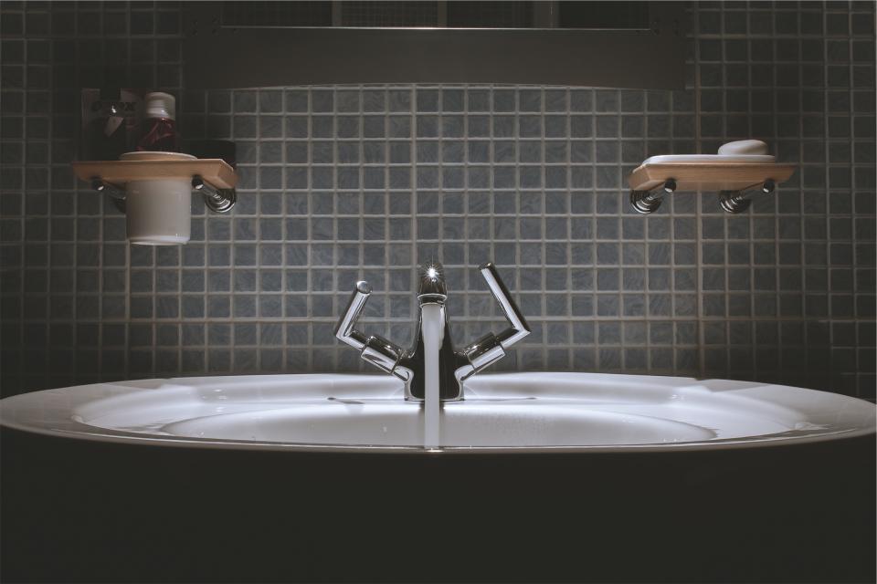 Sanitary Fixtures